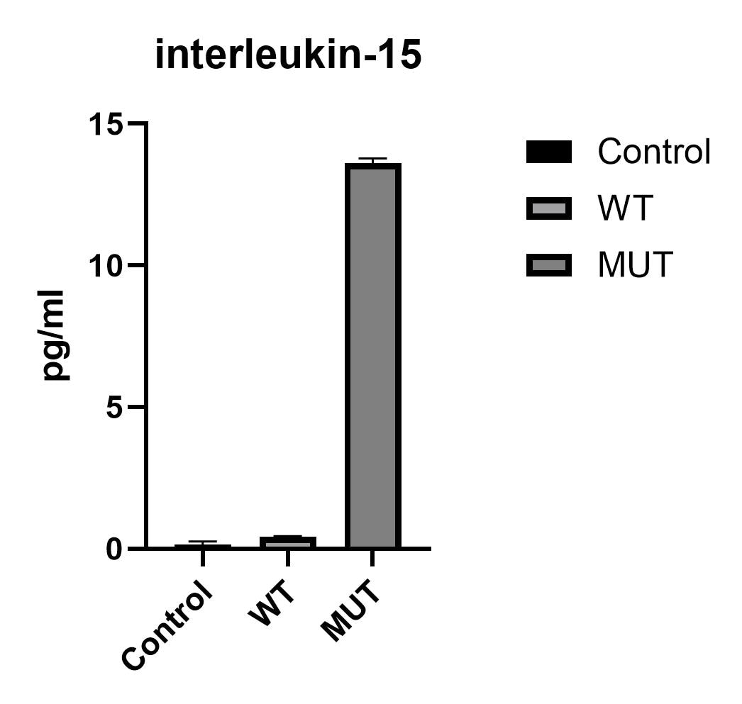 Human IL-15 Quantikine ELISA Kit D1500