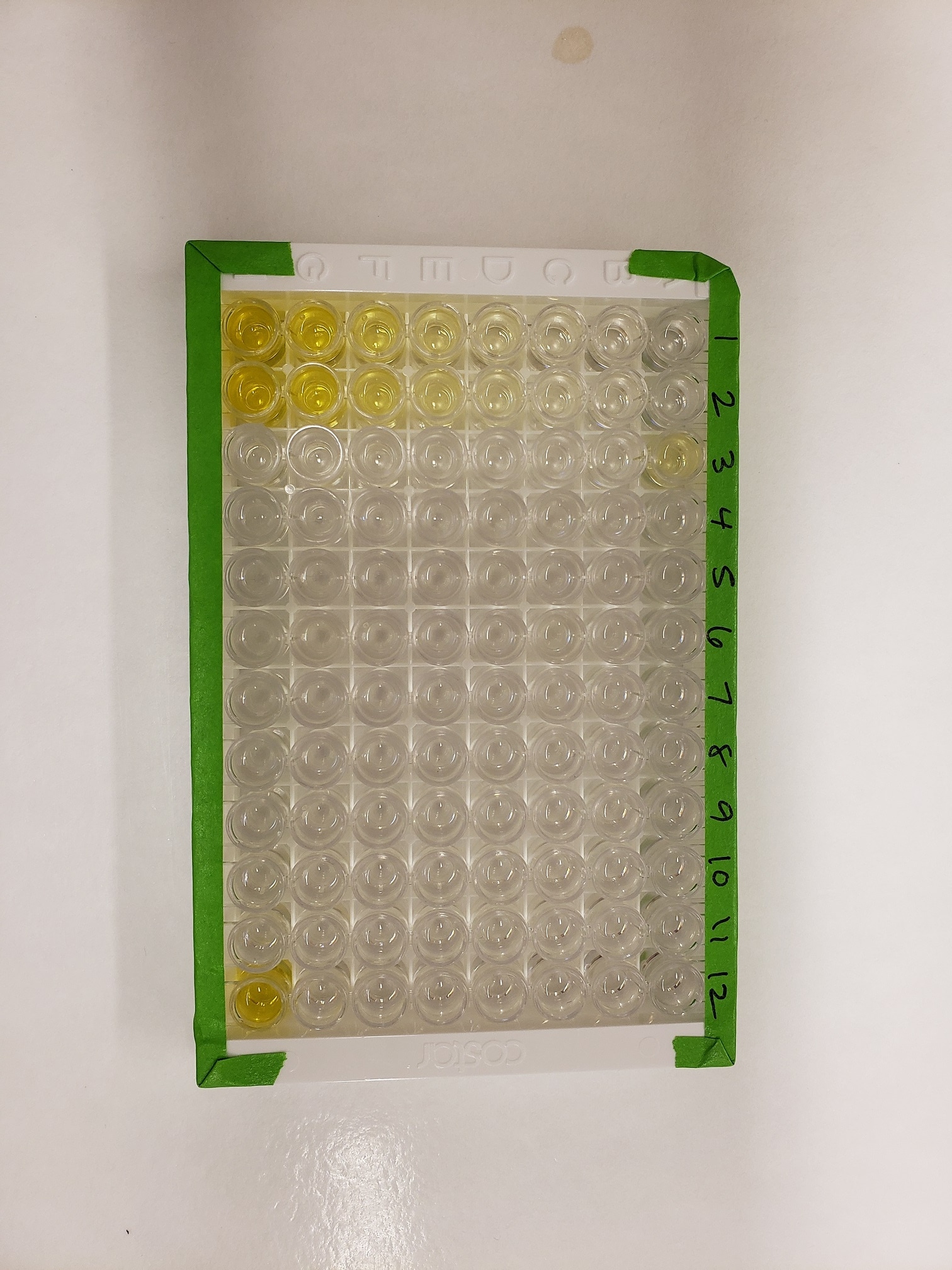 Human IL-2 Quantikine ELISA Kit D2050