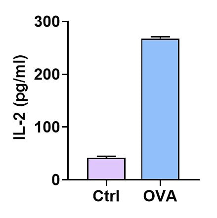 Human IL-2 Quantikine ELISA Kit D2050