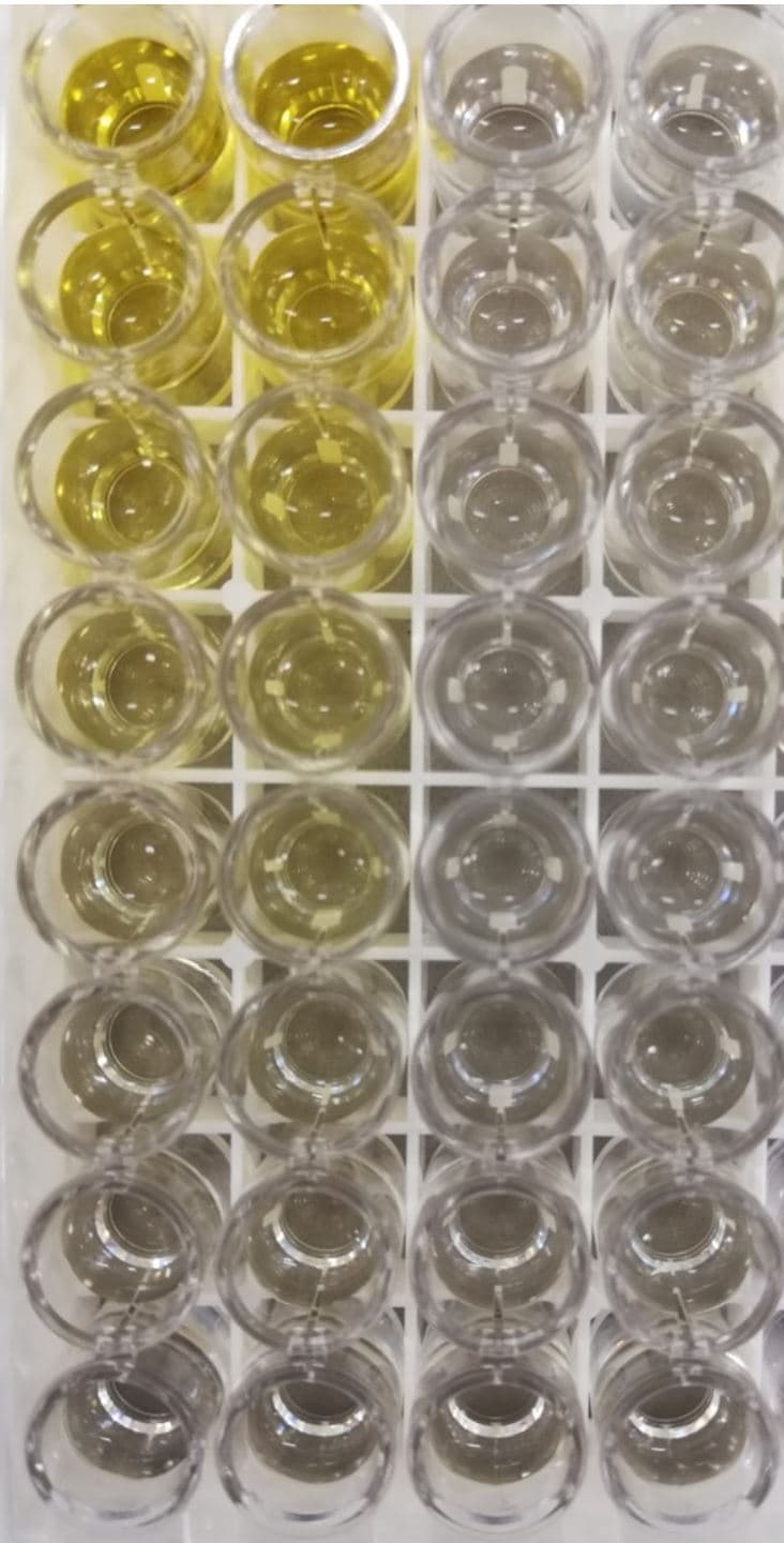 Human IL-6 Quantikine ELISA Kit D6050