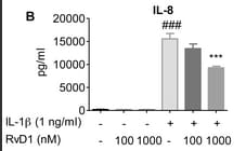 Human IL-8/CXCL8 Quantikine ELISA Kit D8000C