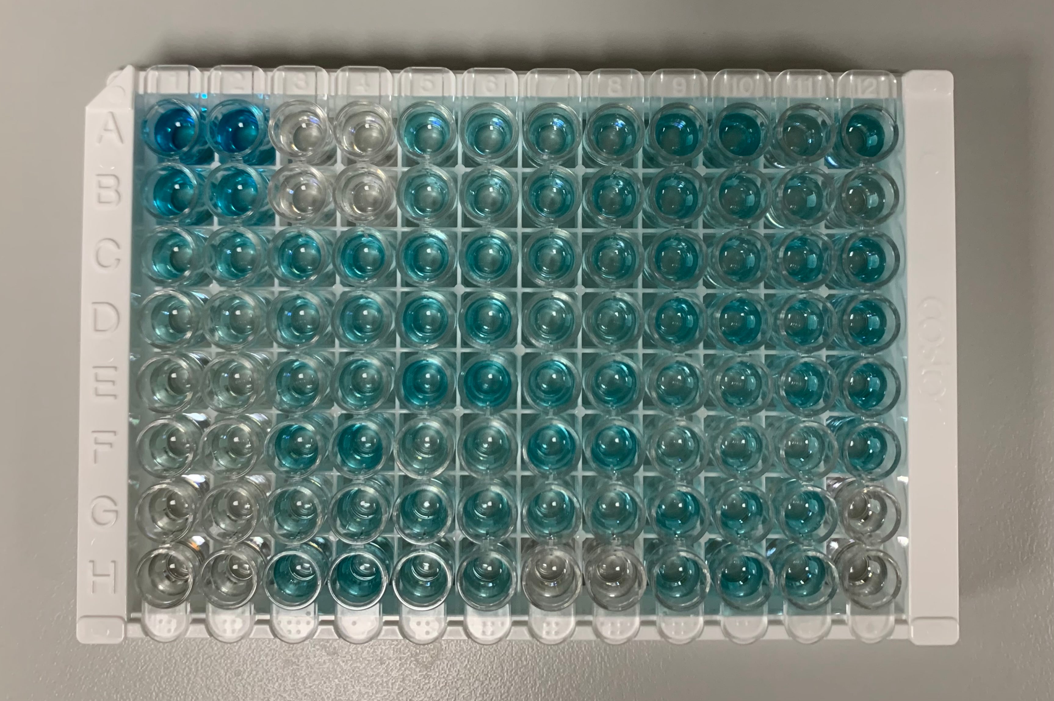 Human/Mouse/Rat Activin A Quantikine ELISA Kit DAC00B