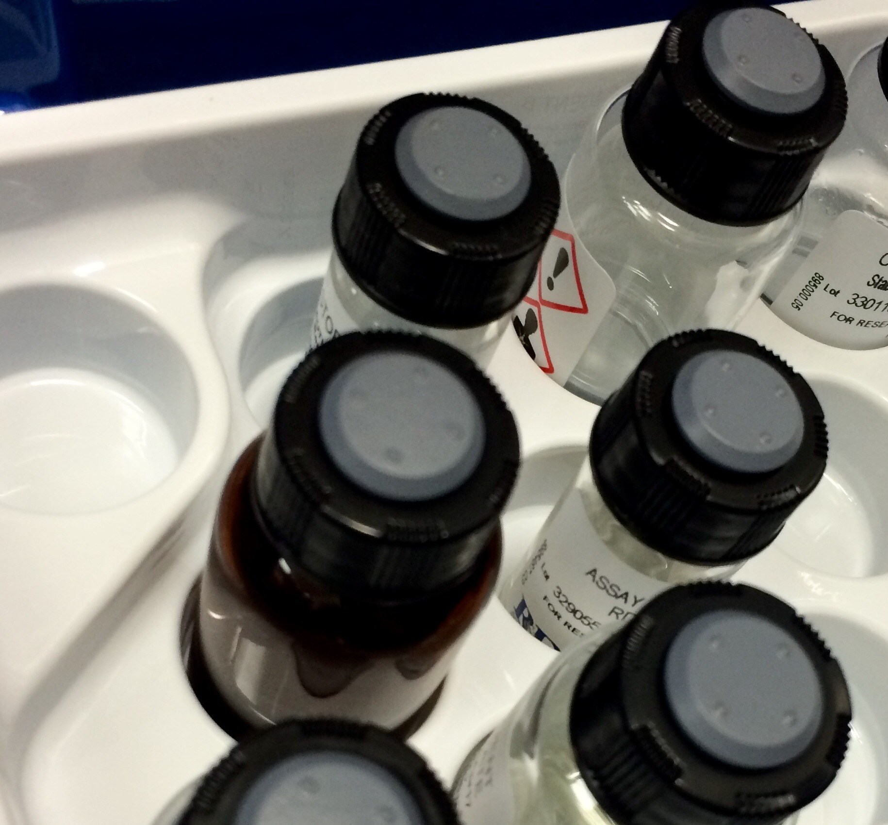 Human/Mouse/Rat/Porcine/Canine TGF-beta 1 Quantikine ELISA DB100B