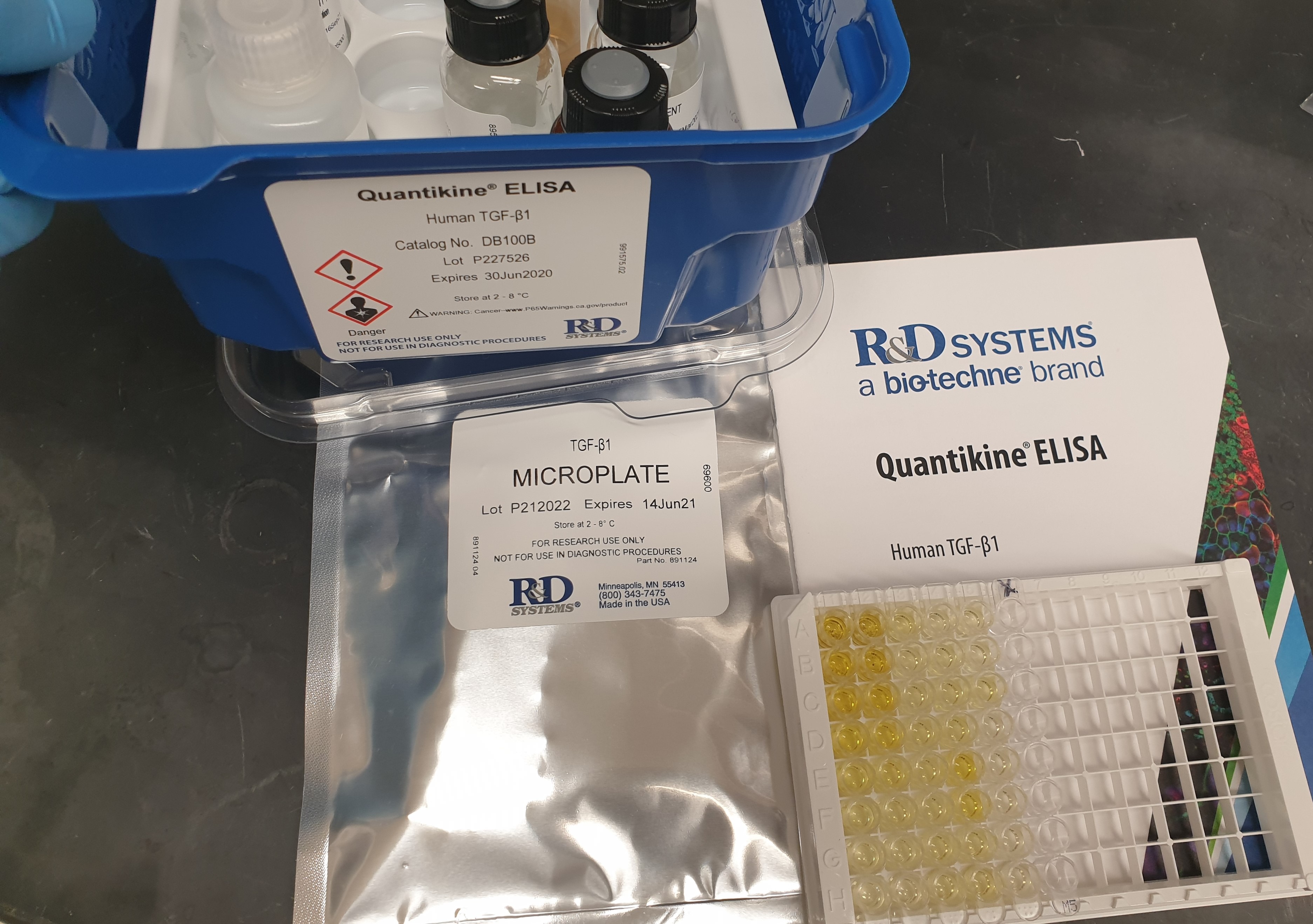 Human/Mouse/Rat/Porcine/Canine TGF-beta 1 Quantikine ELISA DB100B