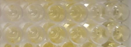 Human Free BDNF Quantikine ELISA Kit DBD00