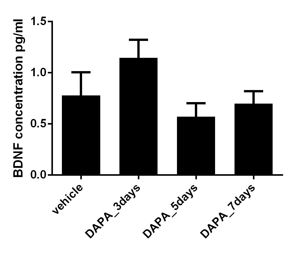 Total BDNF Quantikine ELISA Kit DBNT00