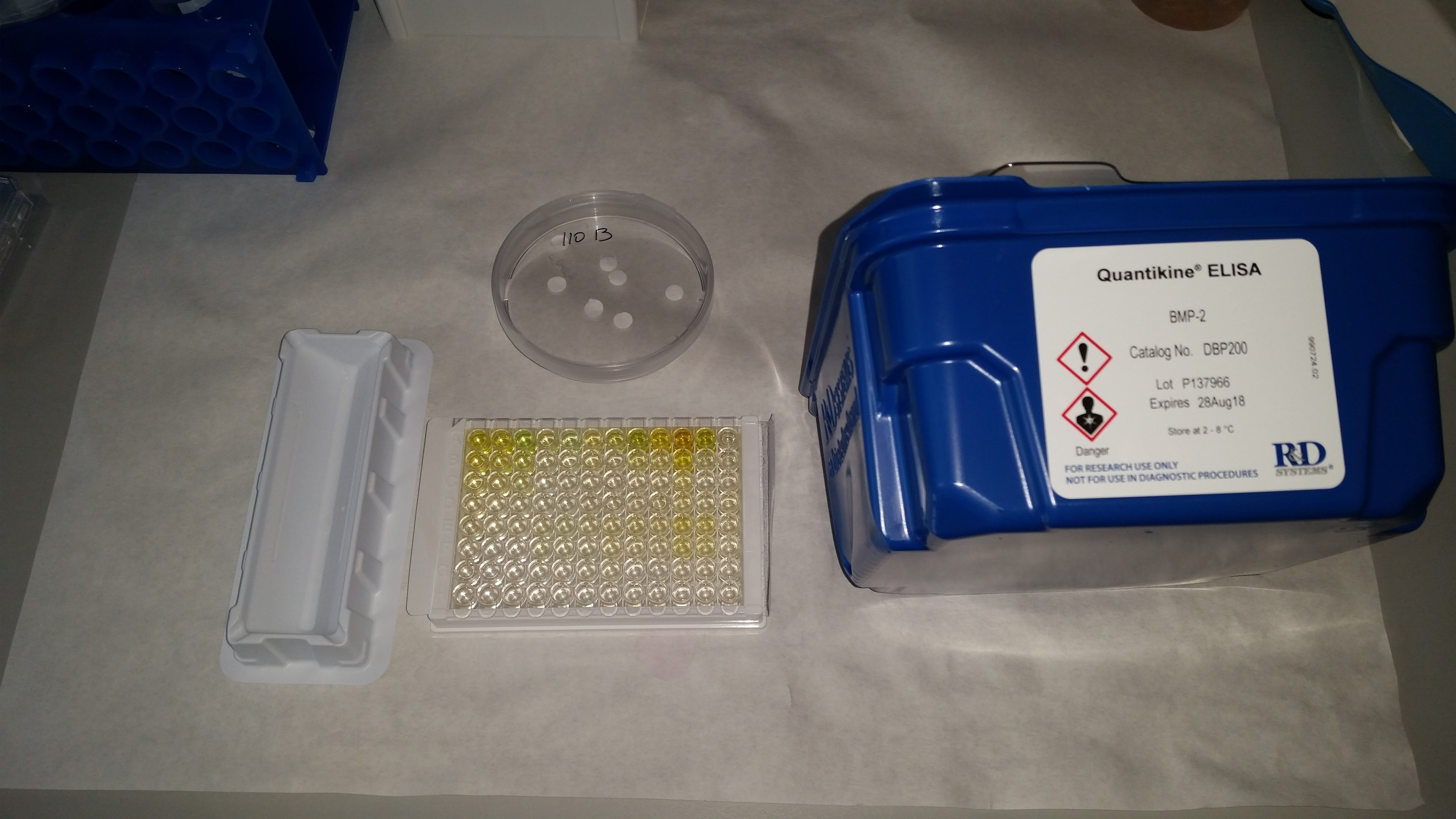 BMP-2 Quantikine ELISA Kit DBP200