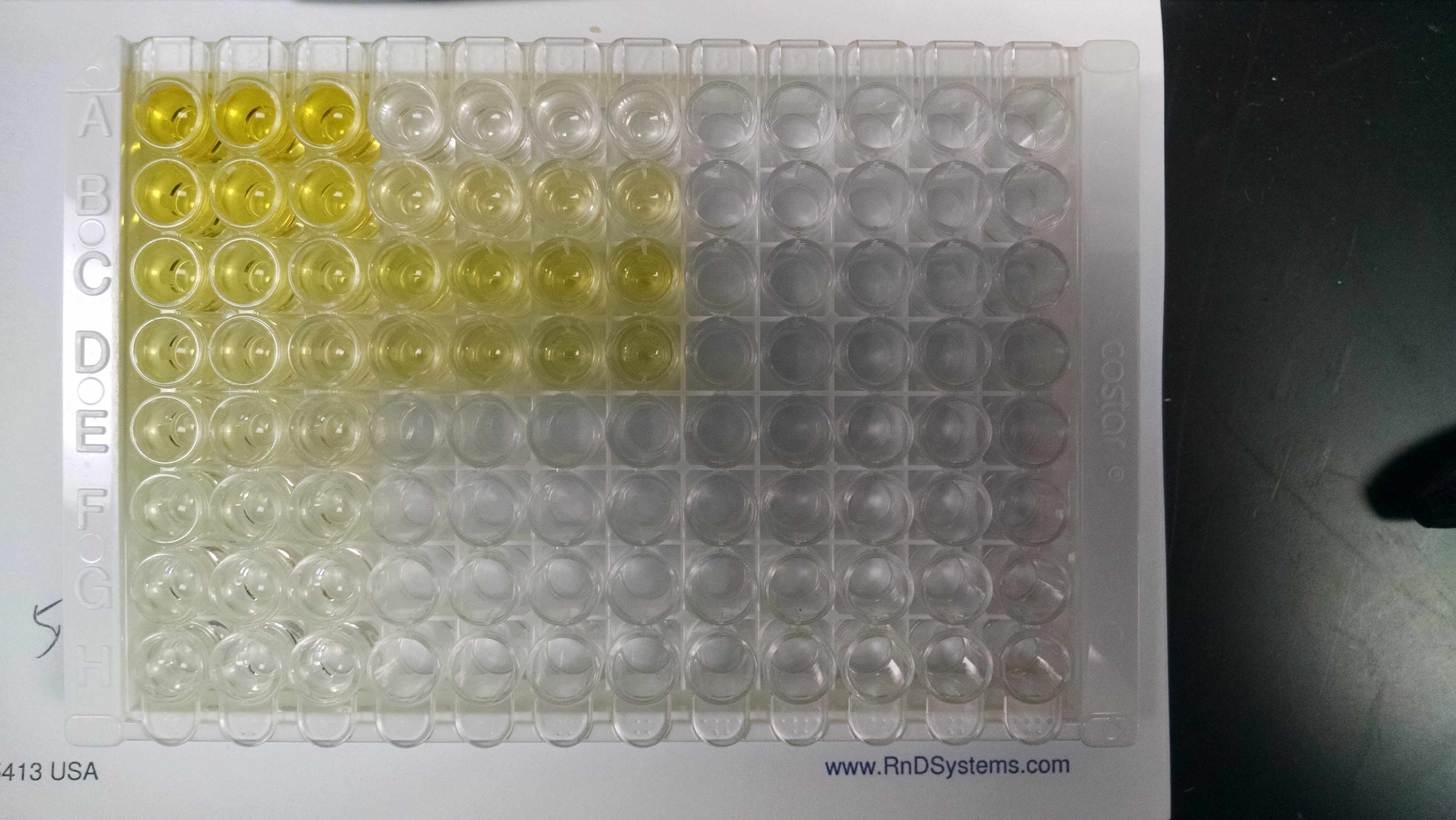 BMP-2 Quantikine ELISA Kit DBP200