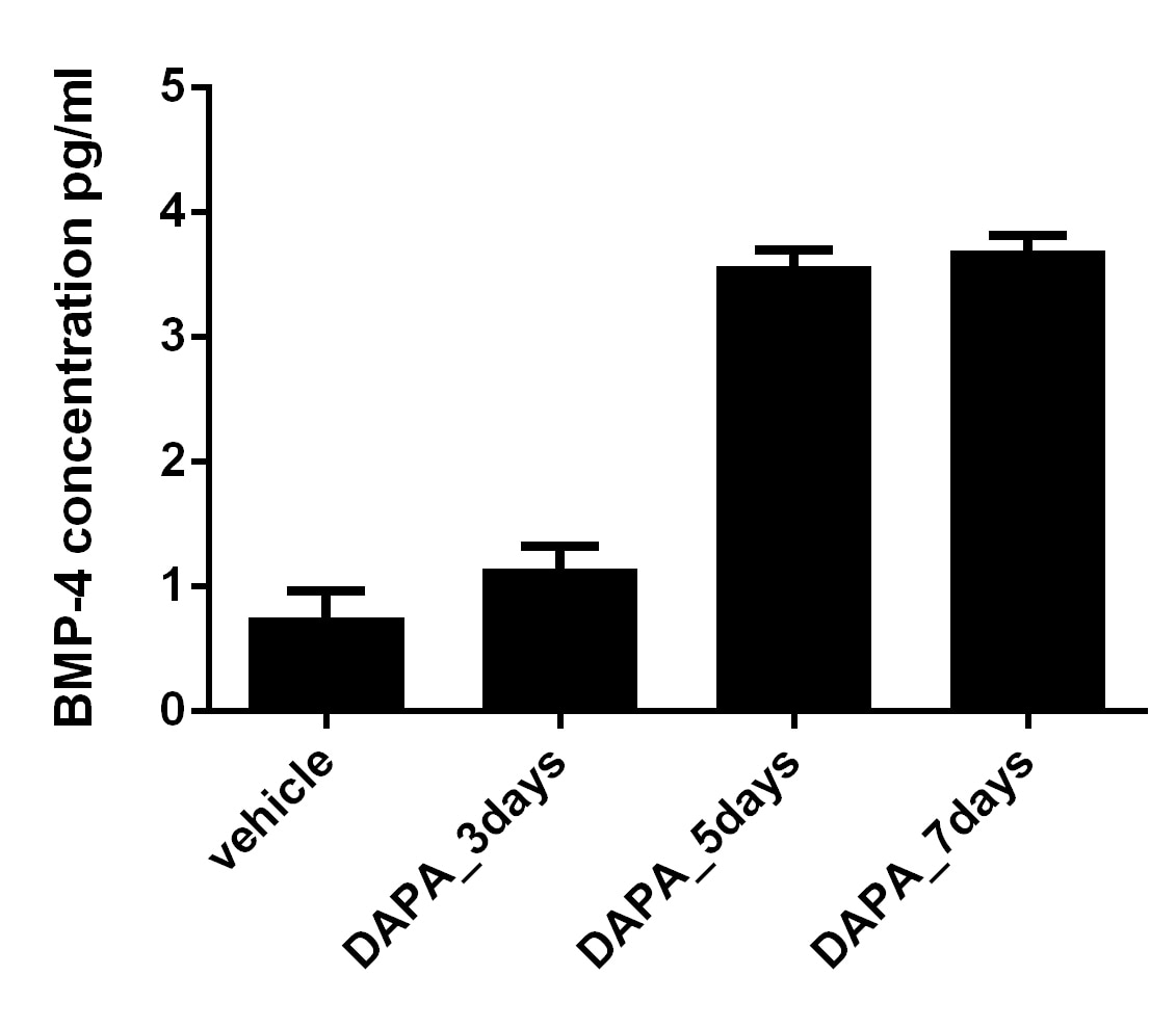 Human BMP-4 Quantikine ELISA Kit DBP400