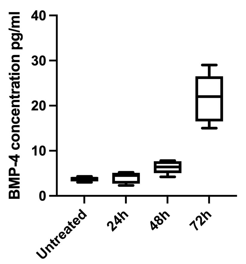 Human BMP-4 Quantikine ELISA Kit DBP400