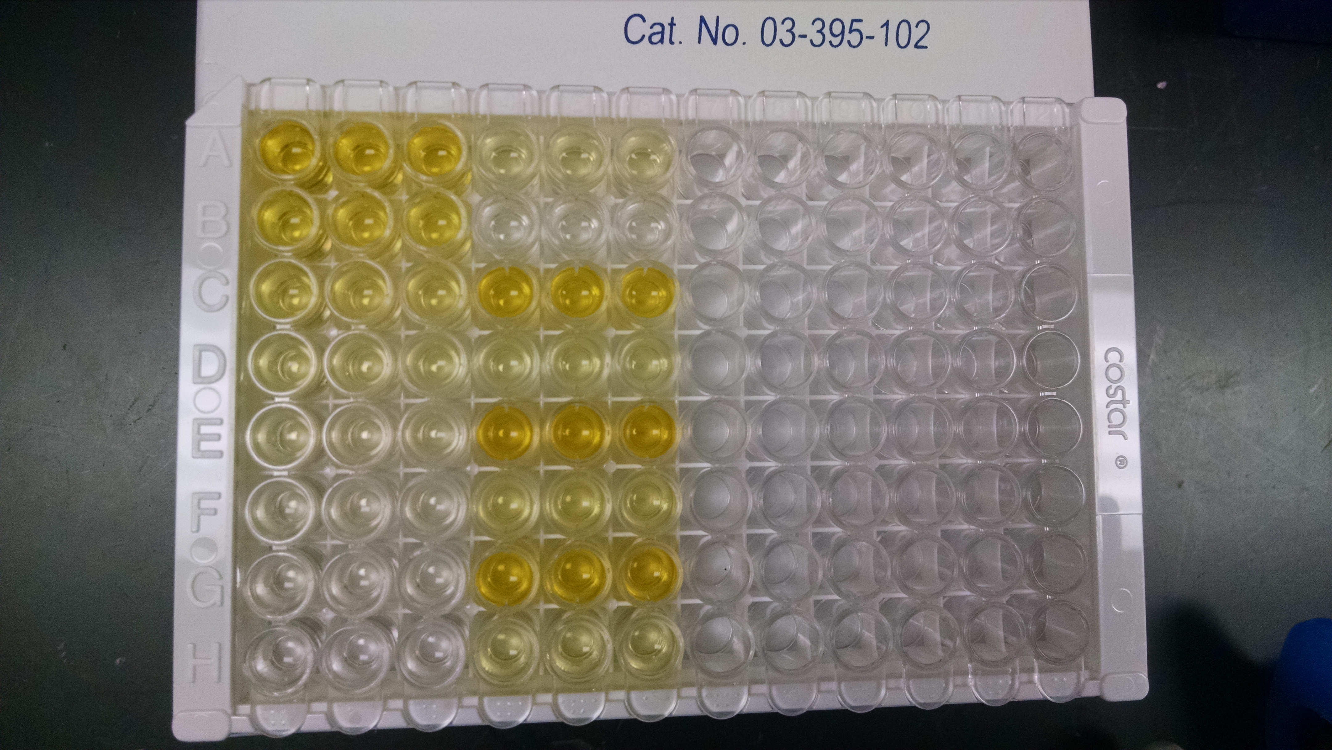 Human BMP-7 Quantikine ELISA Kit DBP700