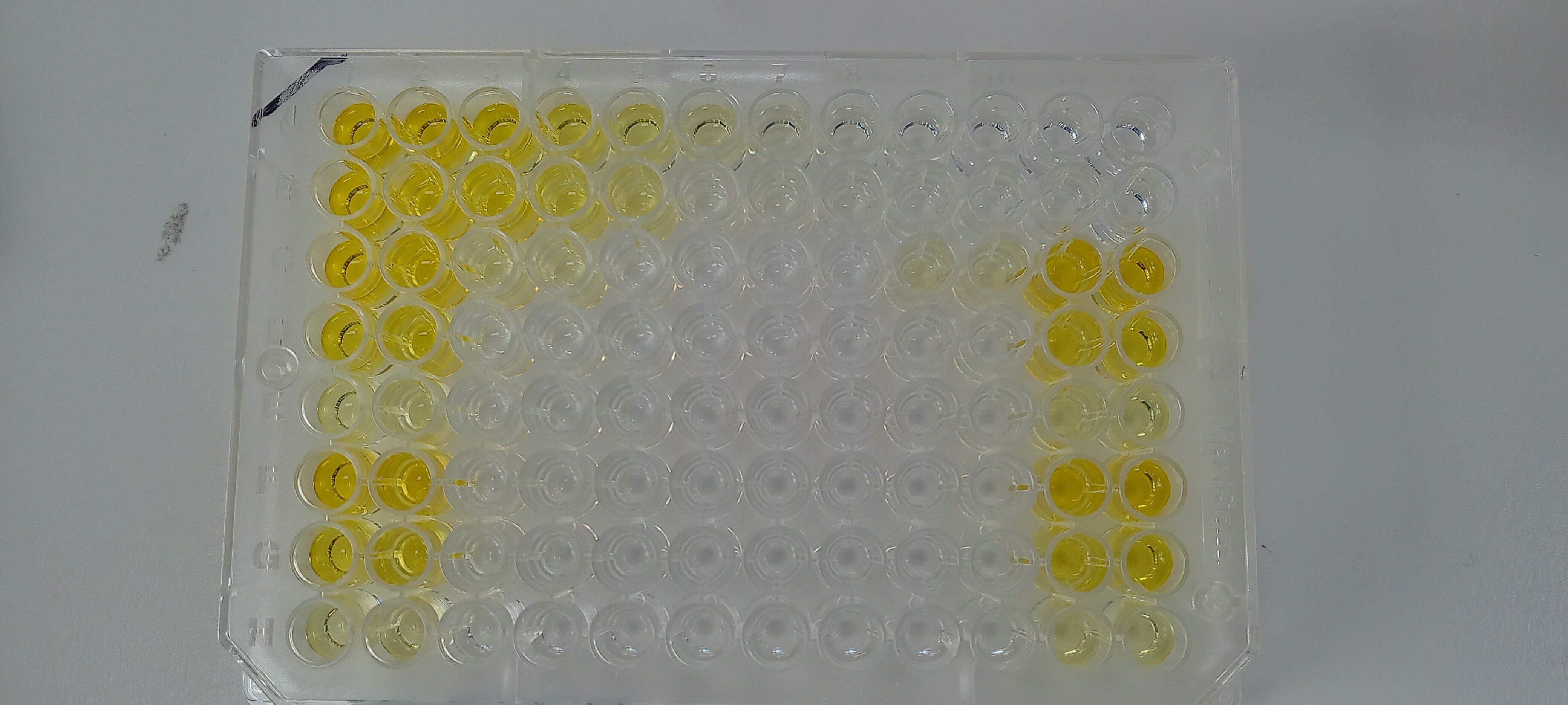 Human CD14 Quantikine ELISA Kit DC140