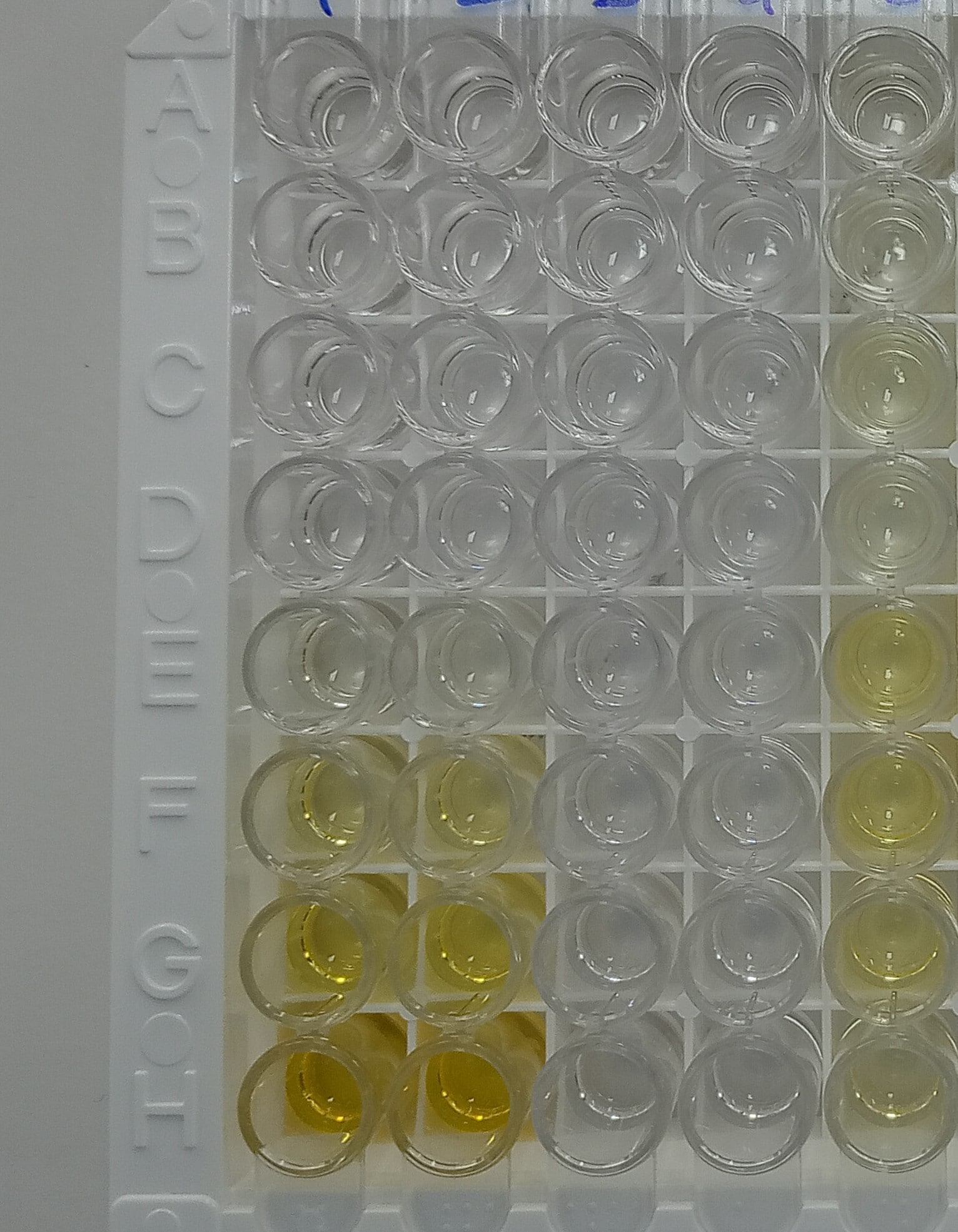 Human CA125/MUC16 Quantikine ELISA Kit DCA125