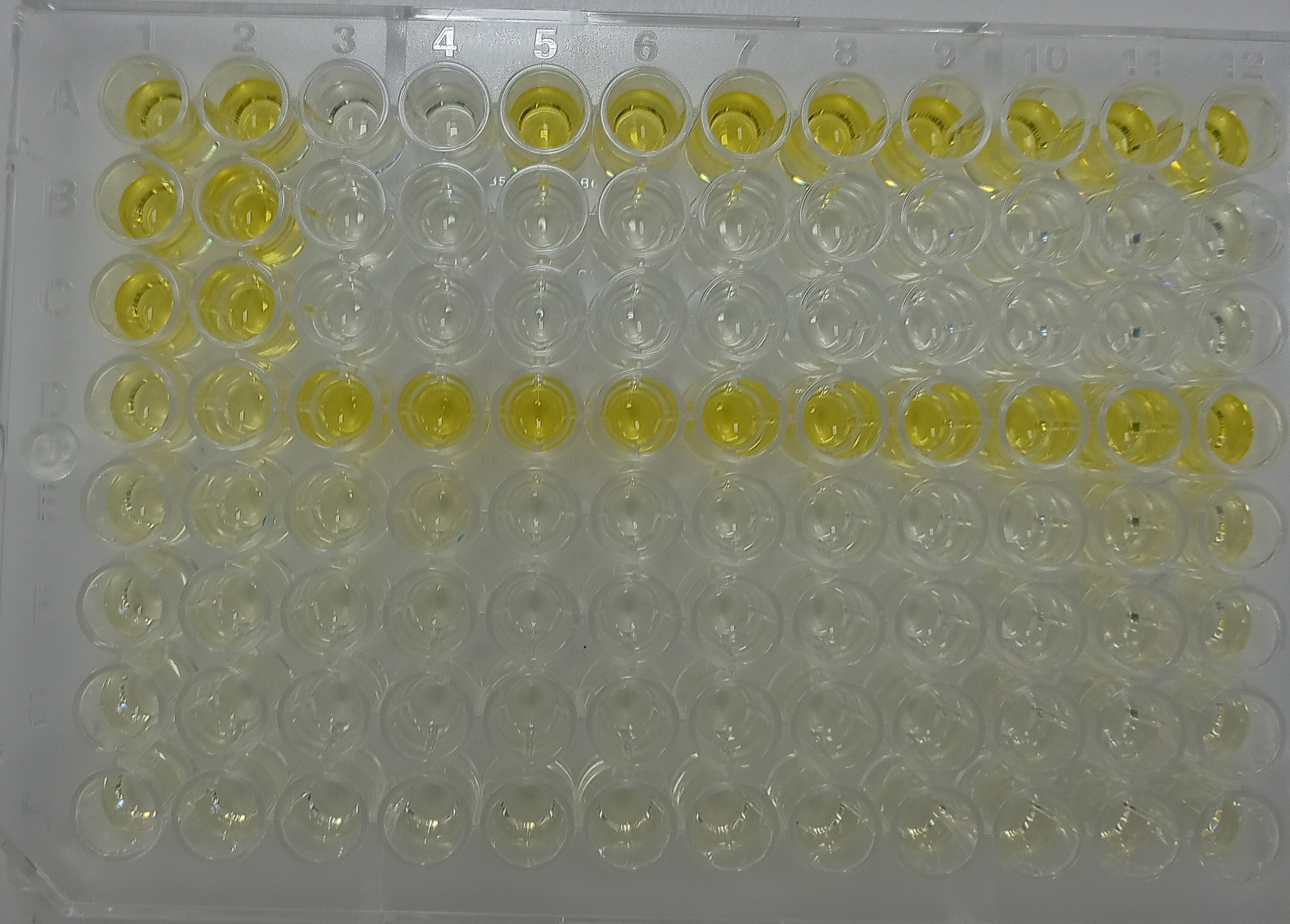 Human CA125/MUC16 Quantikine ELISA Kit DCA125