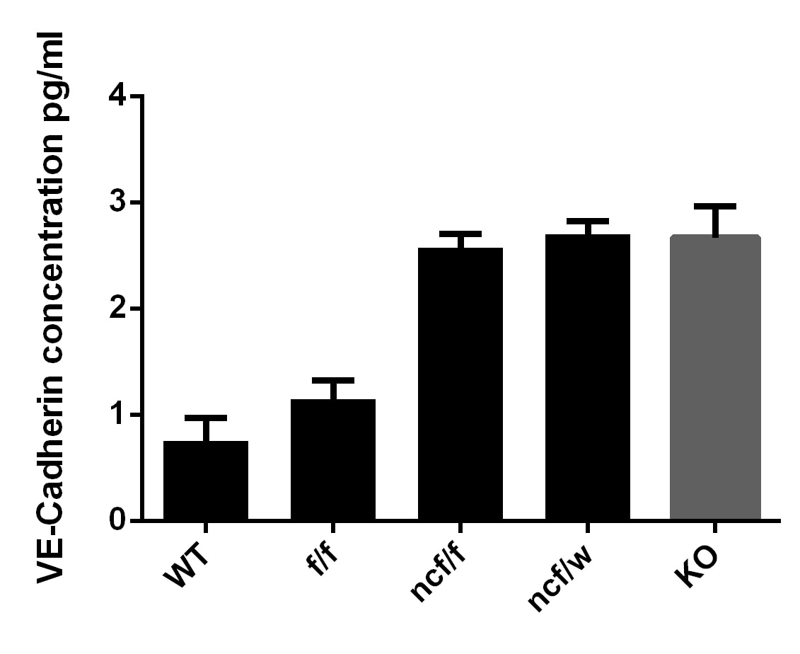 Human VE-Cadherin Quantikine ELISA Kit DCADV0