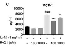 Human CCL2/MCP-1 Quantikine ELISA Kit DCP00