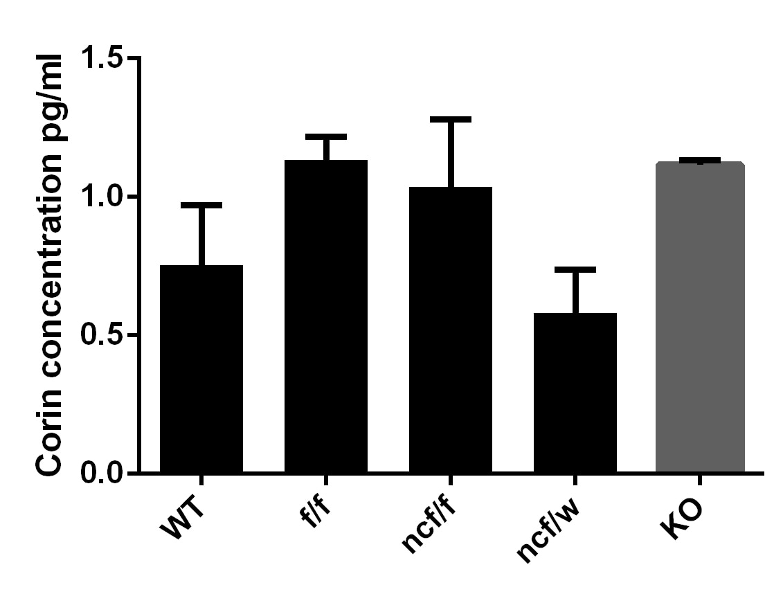 Human Corin Quantikine ELISA Kit DCRN00
