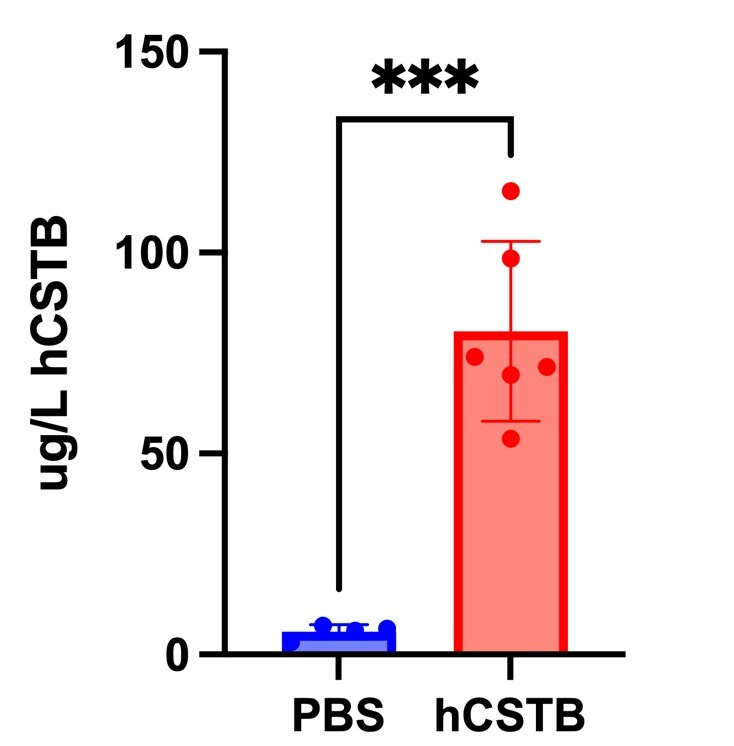Human Cystatin B Quantikine ELISA Kit DCYB00