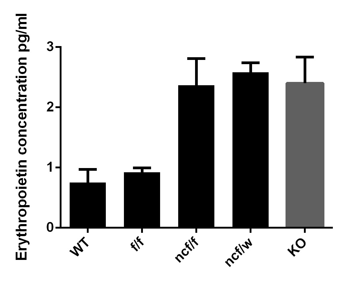 Human Erythropoietin/EPO Quantikine ELISA Kit, RUO DEPRU0
