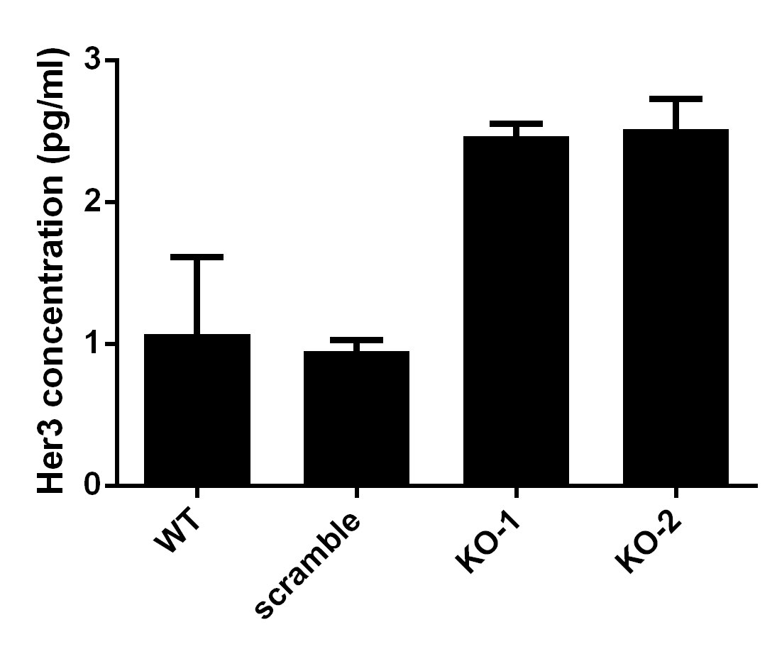 Human ErbB3/Her3 Quantikine ELISA Kit DERB30