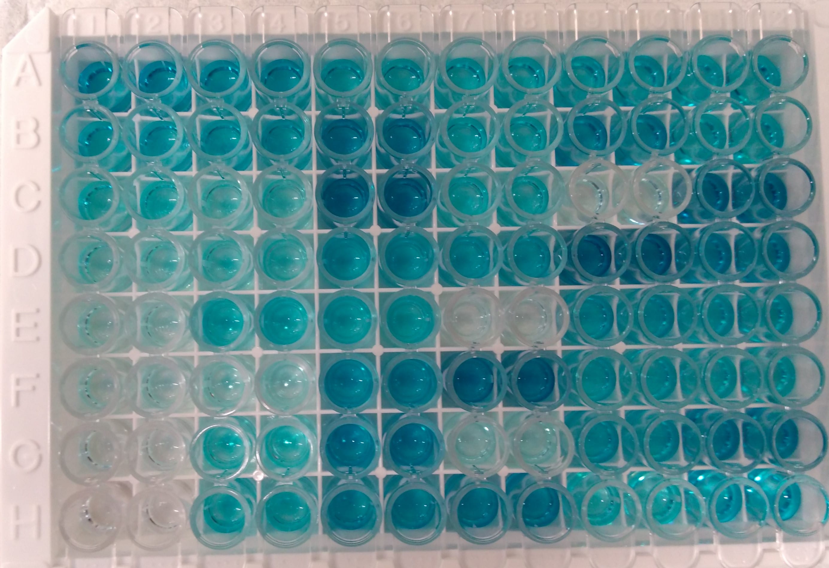 Endothelin-1 Quantikine ELISA Kit DET100