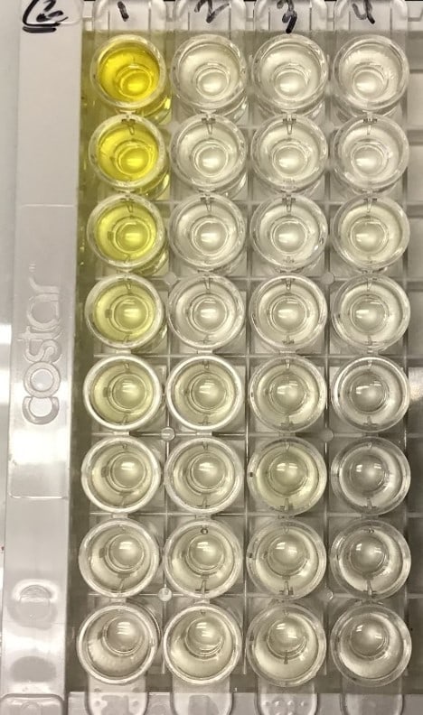 Endothelin-1 Quantikine ELISA Kit DET100