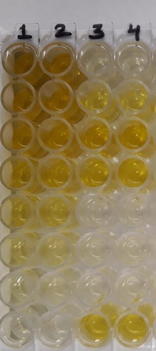 Endothelin-1 Quantikine ELISA Kit DET100