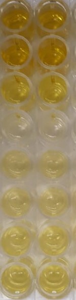 Human FGF-21 Quantikine ELISA Kit DF2100