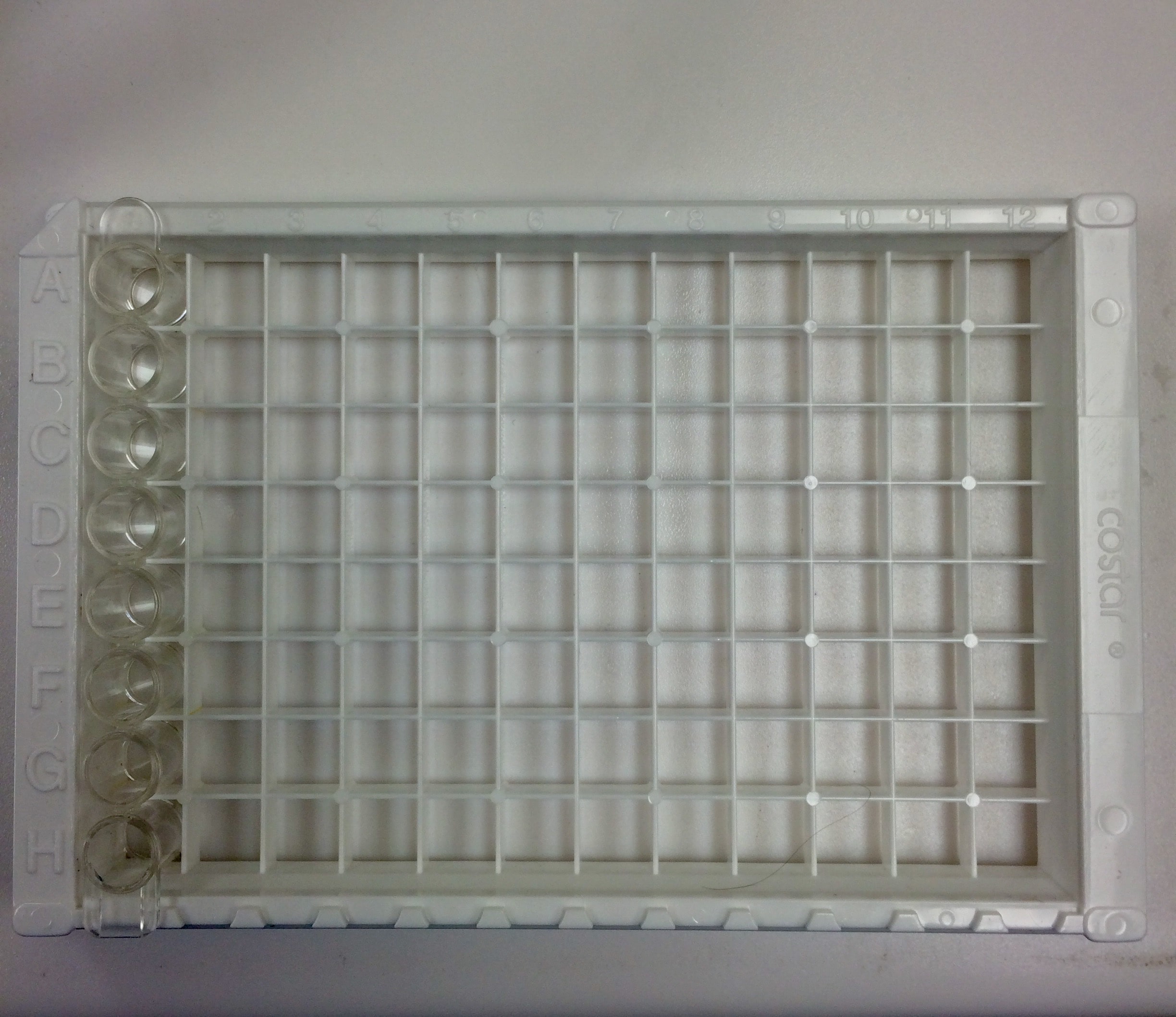 Human FGF acidic/FGF1 Quantikine ELISA Kit DFA00B