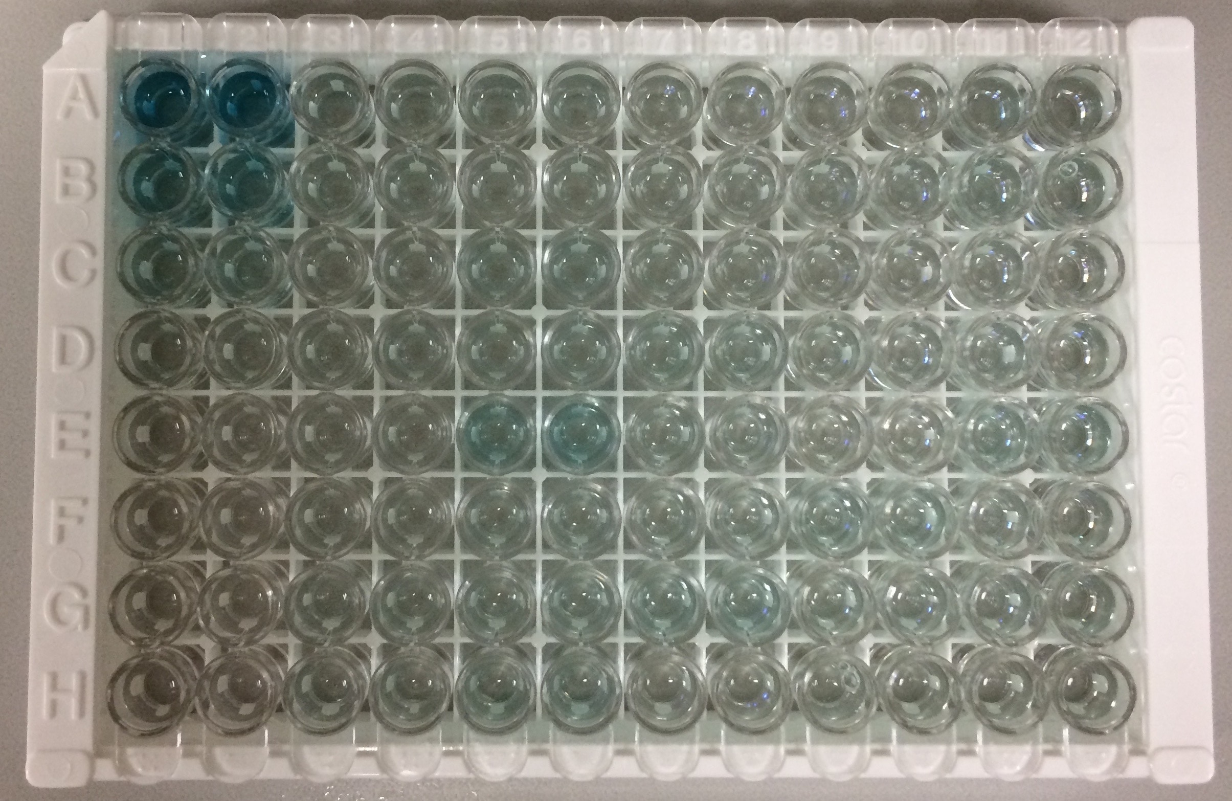 Human IGF-I/IGF-1 Quantikine ELISA Kit DG100
