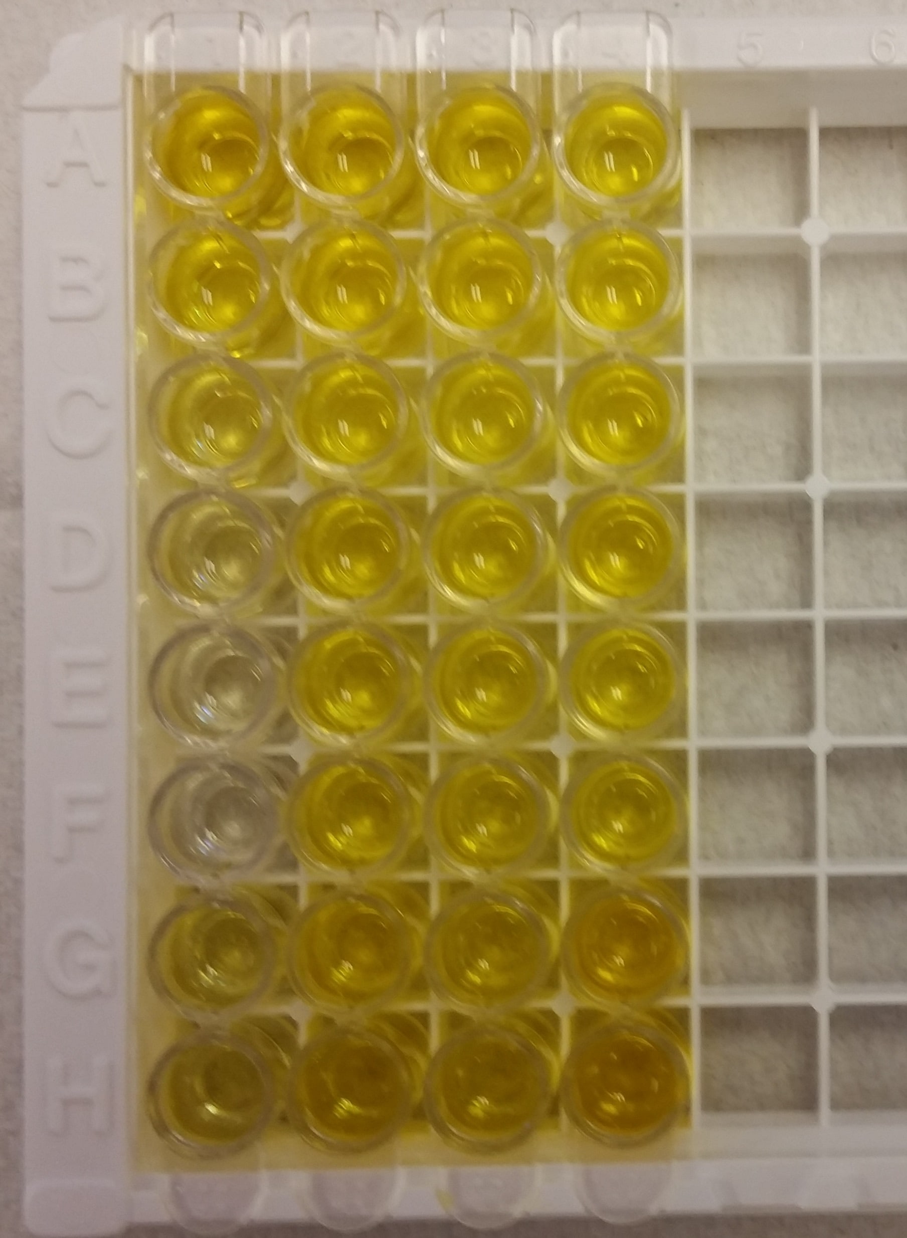 GDF-8/Myostatin Quantikine ELISA Kit DGDF80