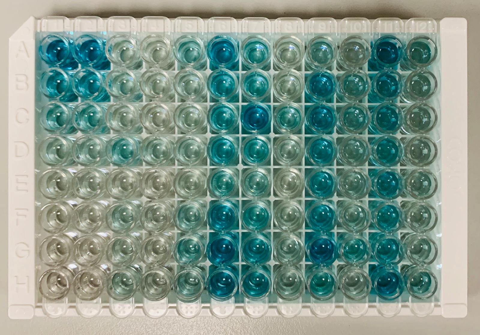 GDF-8/Myostatin Quantikine ELISA Kit DGDF80