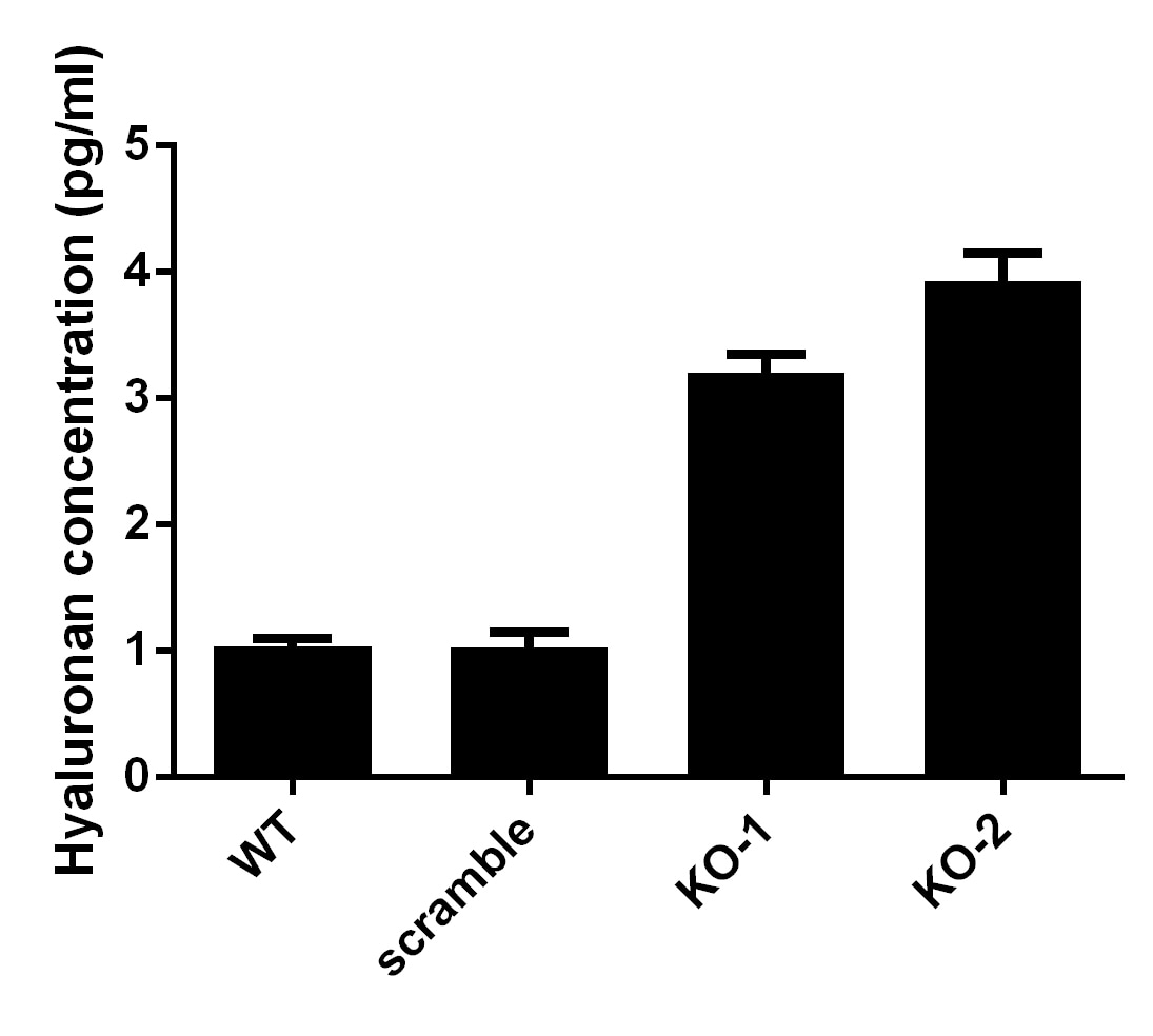 Hyaluronan Quantikine ELISA Kit DHYAL0