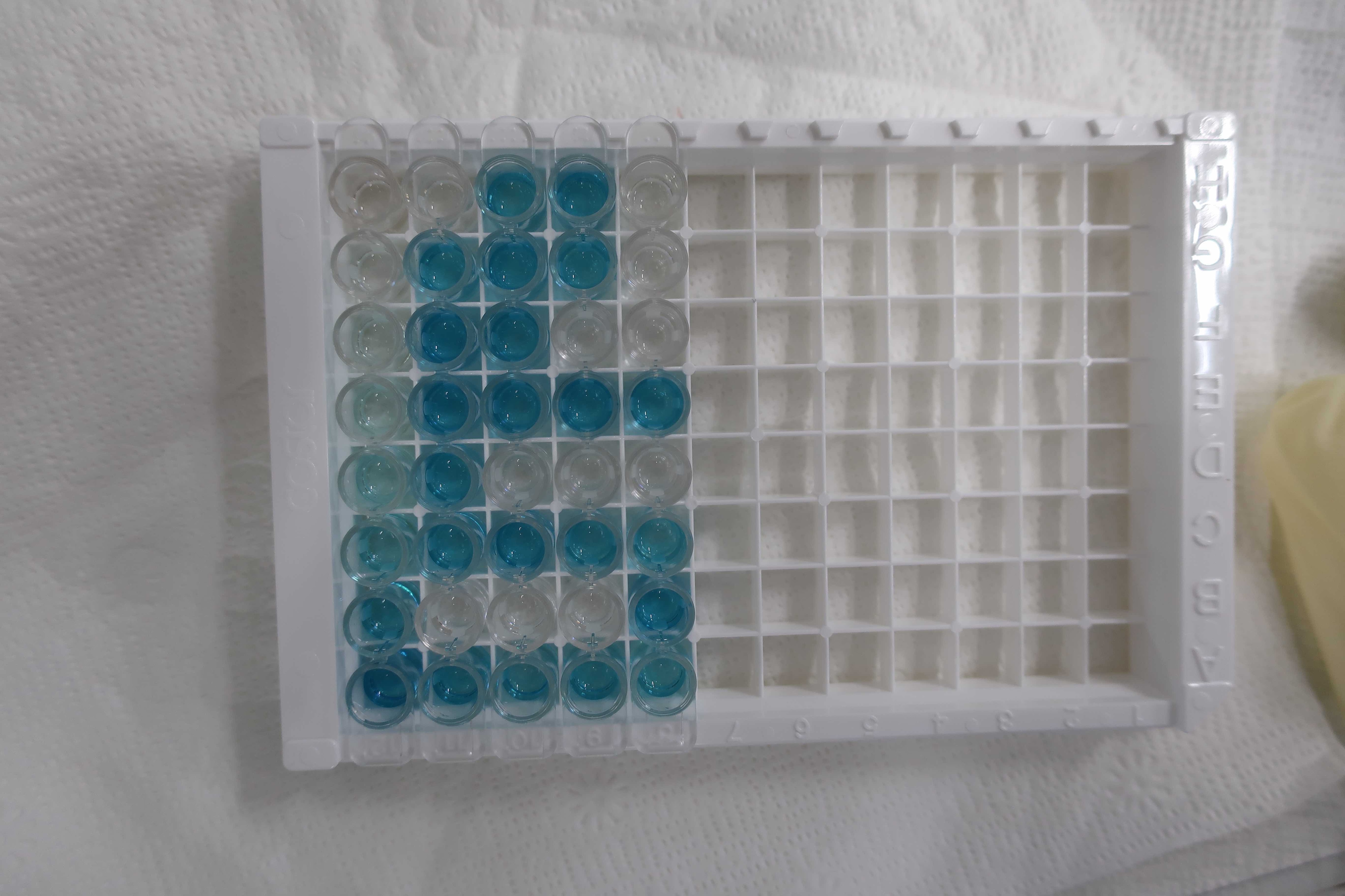 Hyaluronan Quantikine ELISA Kit DHYAL0