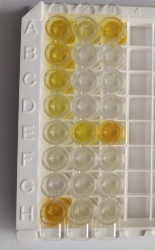 Hyaluronan Quantikine ELISA Kit DHYAL0