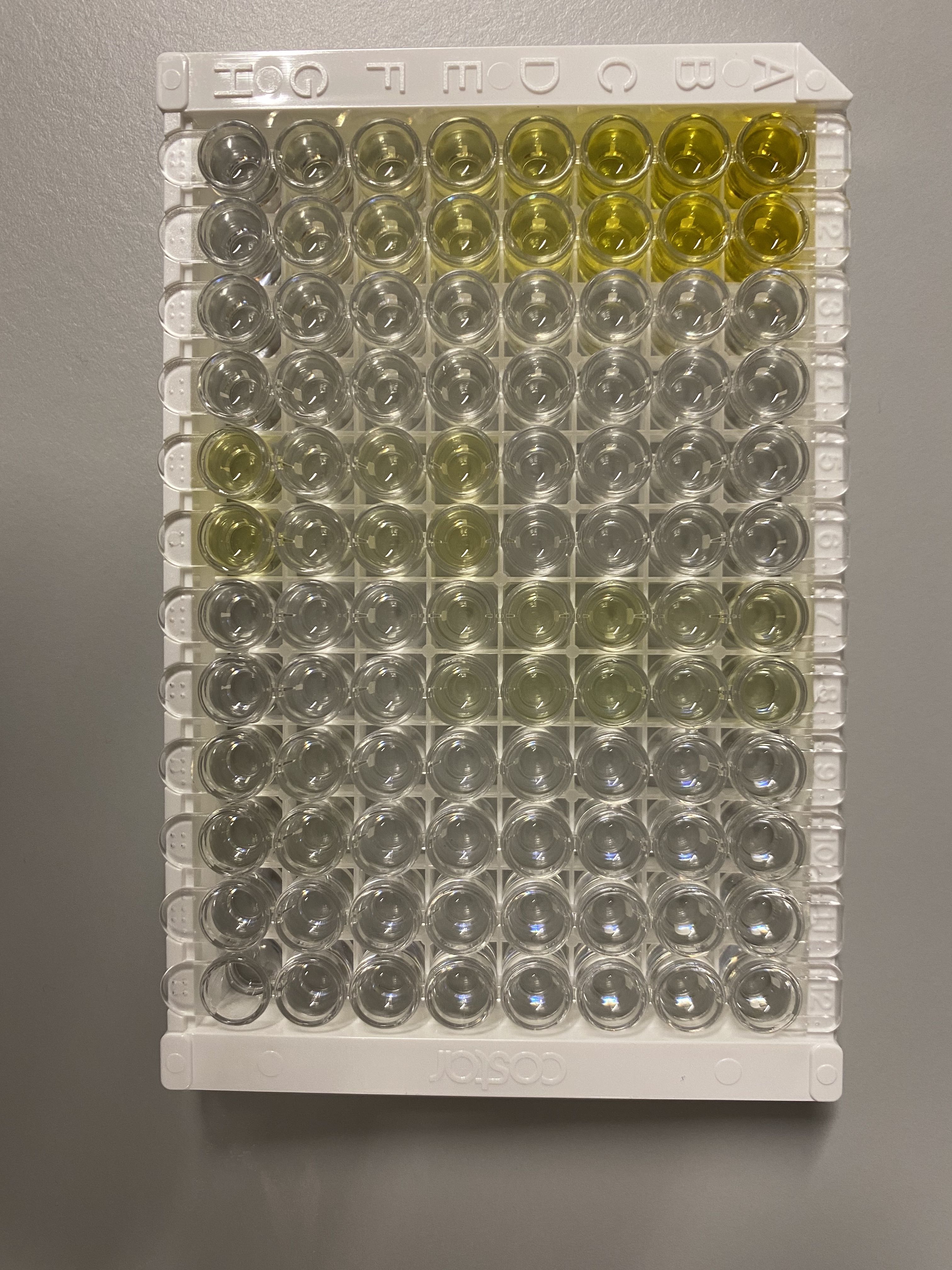 Human IFN-gamma Quantikine ELISA Kit DIF50C