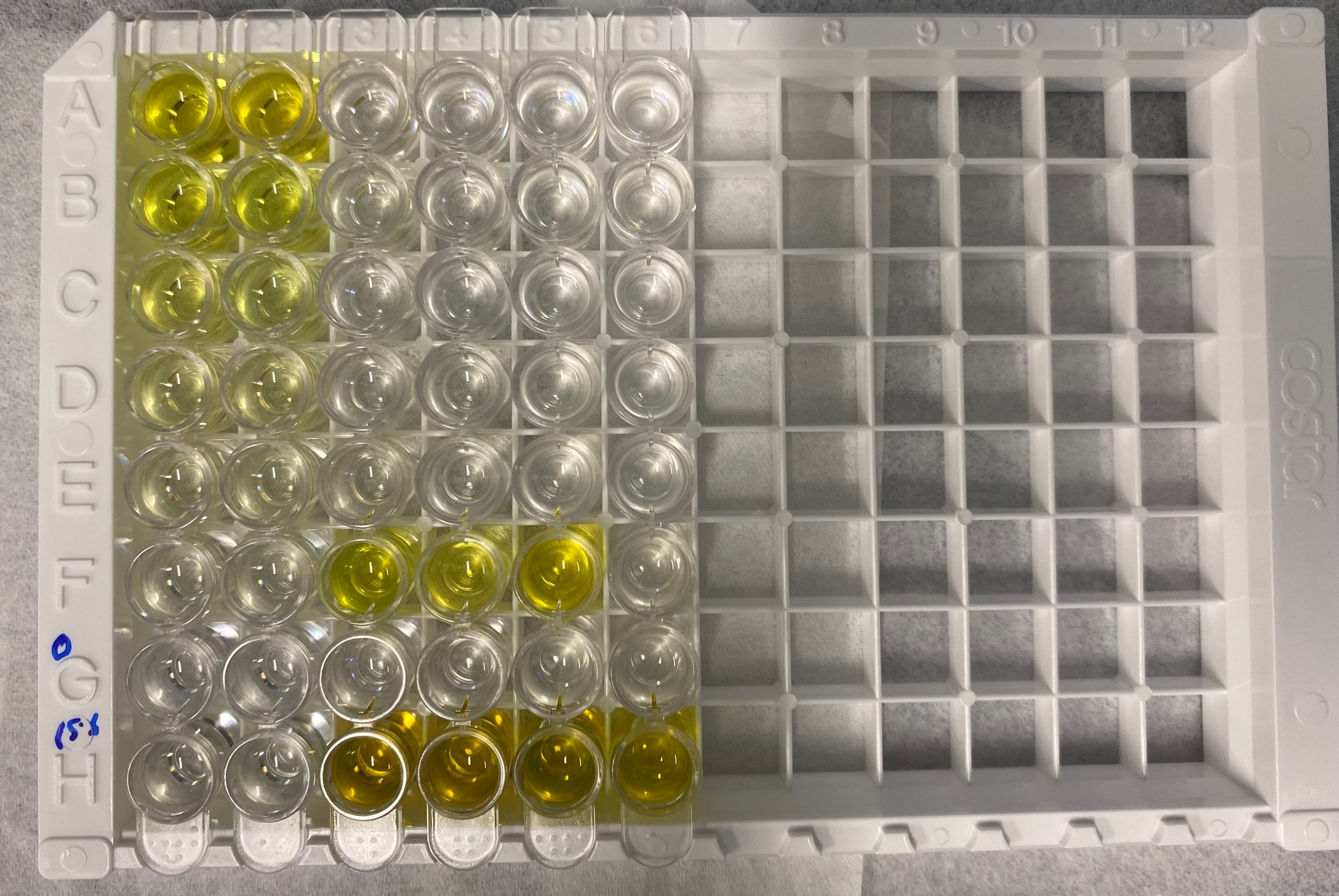 Human IFN-gamma Quantikine ELISA Kit DIF50C