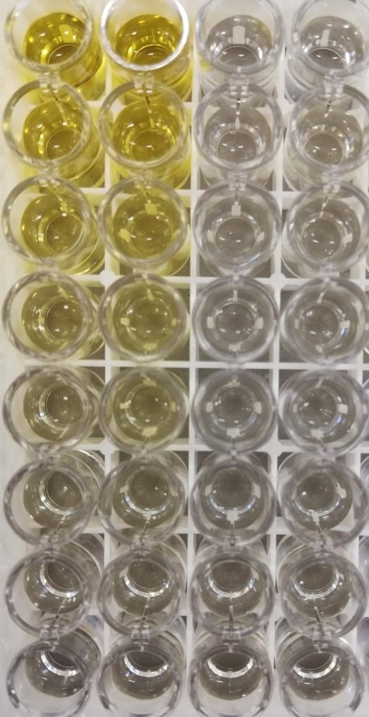 Human IL-1 alpha/IL-1F1 Quantikine ELISA Kit DLA50