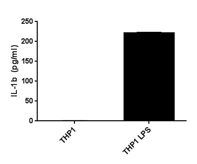 Human IL-1 beta/IL-1F2 Quantikine ELISA Kit DLB50