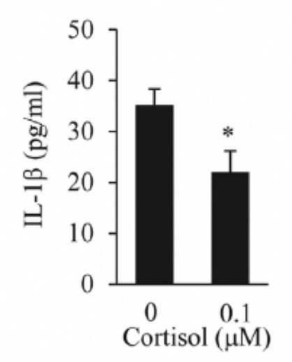 Human IL-1 beta/IL-1F2 Quantikine ELISA Kit DLB50