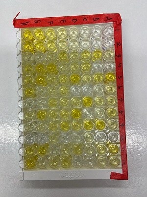 Human Leptin Quantikine ELISA Kit DLP00