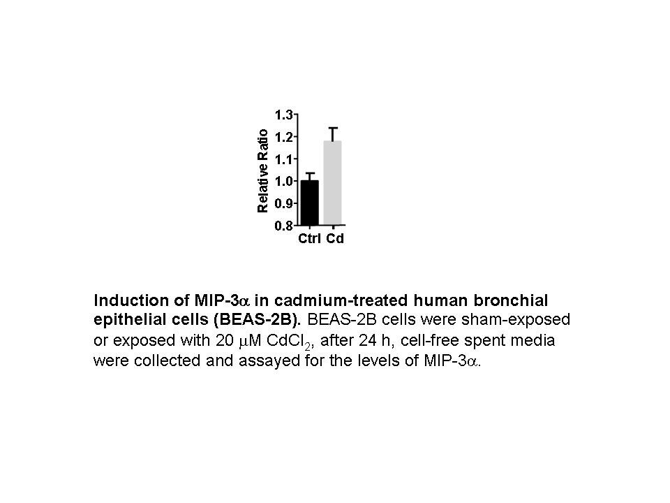 Human CCL20/MIP-3 alpha Quantikine ELISA Kit DM3A00