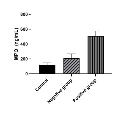 Human Myeloperoxidase Quantikine ELISA Kit DMYE00B