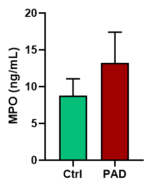Human Myeloperoxidase Quantikine ELISA Kit DMYE00B