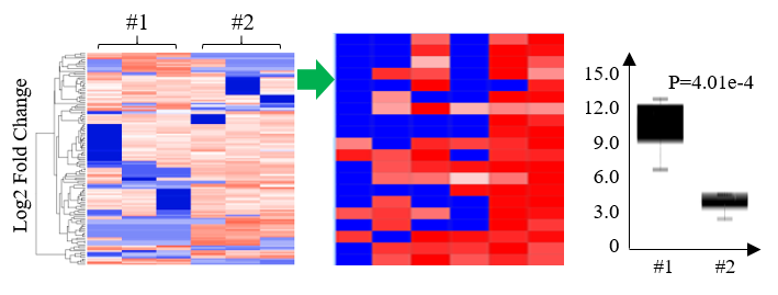 Human Progranulin Quantikine ELISA Kit DPGRN0