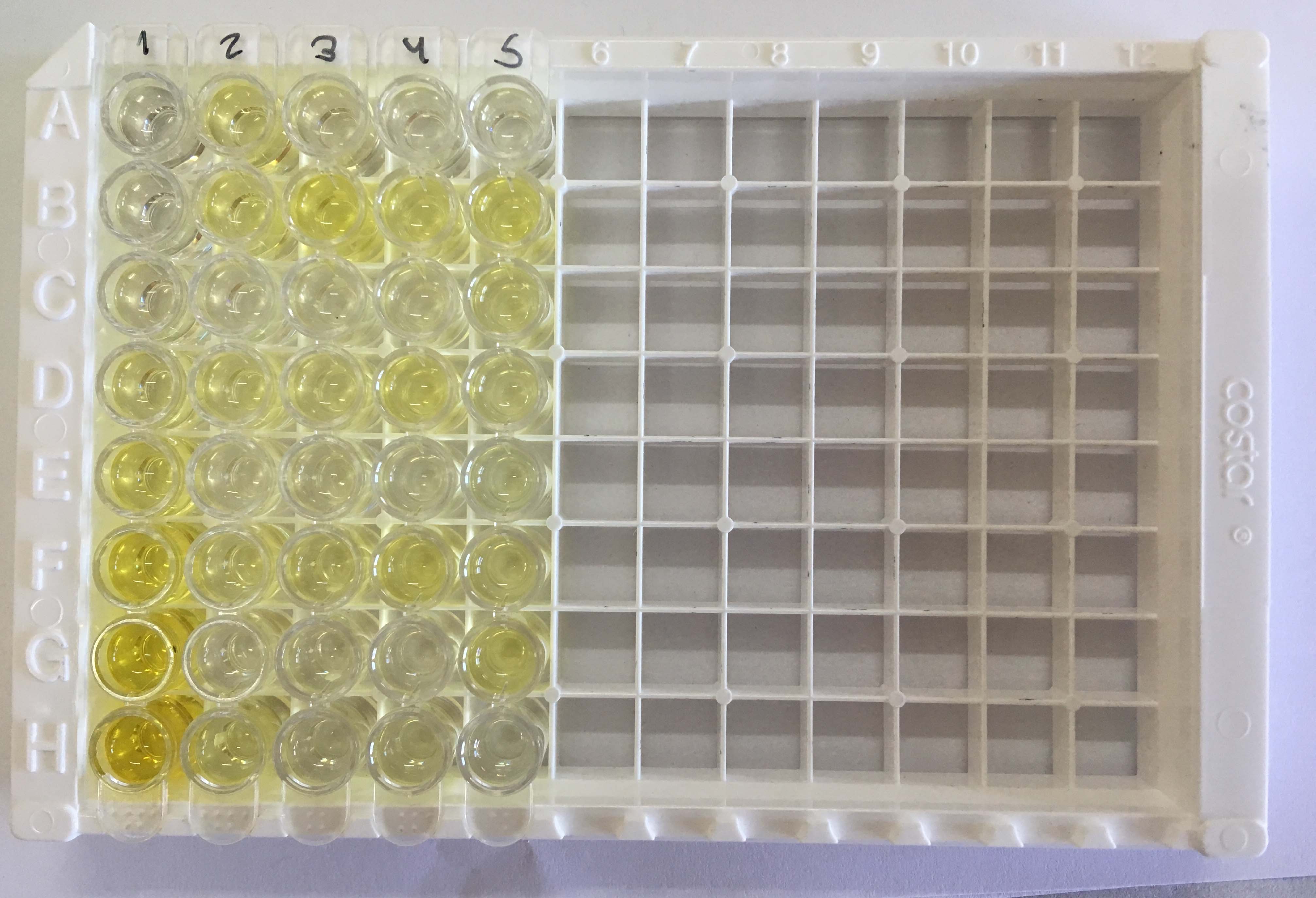 Human P-Selectin/CD62P Quantikine ELISA Kit DPSE00