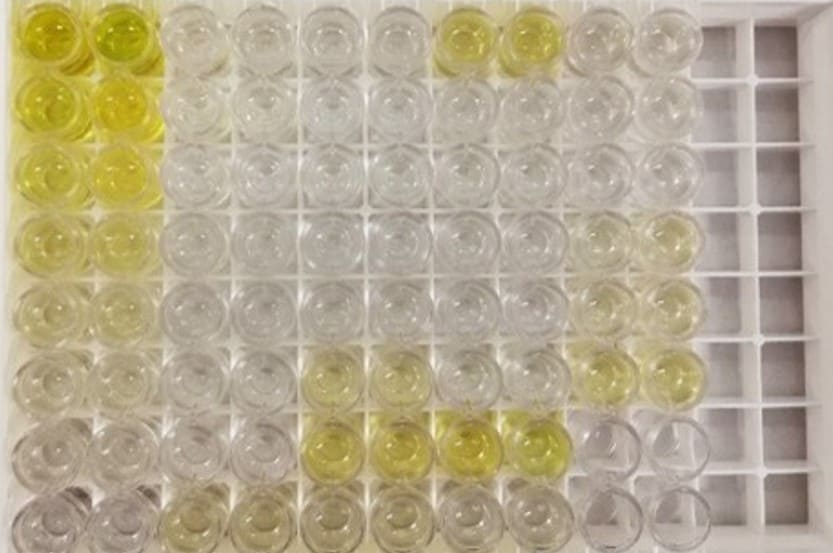 Human IL-1ra/IL-1F3 Quantikine ELISA Kit DRA00B