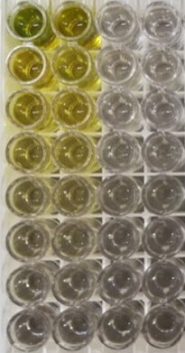 Human IL-1ra/IL-1F3 Quantikine ELISA Kit DRA00B