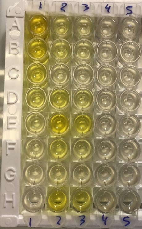 Human Renin Quantikine ELISA Kit DREN00