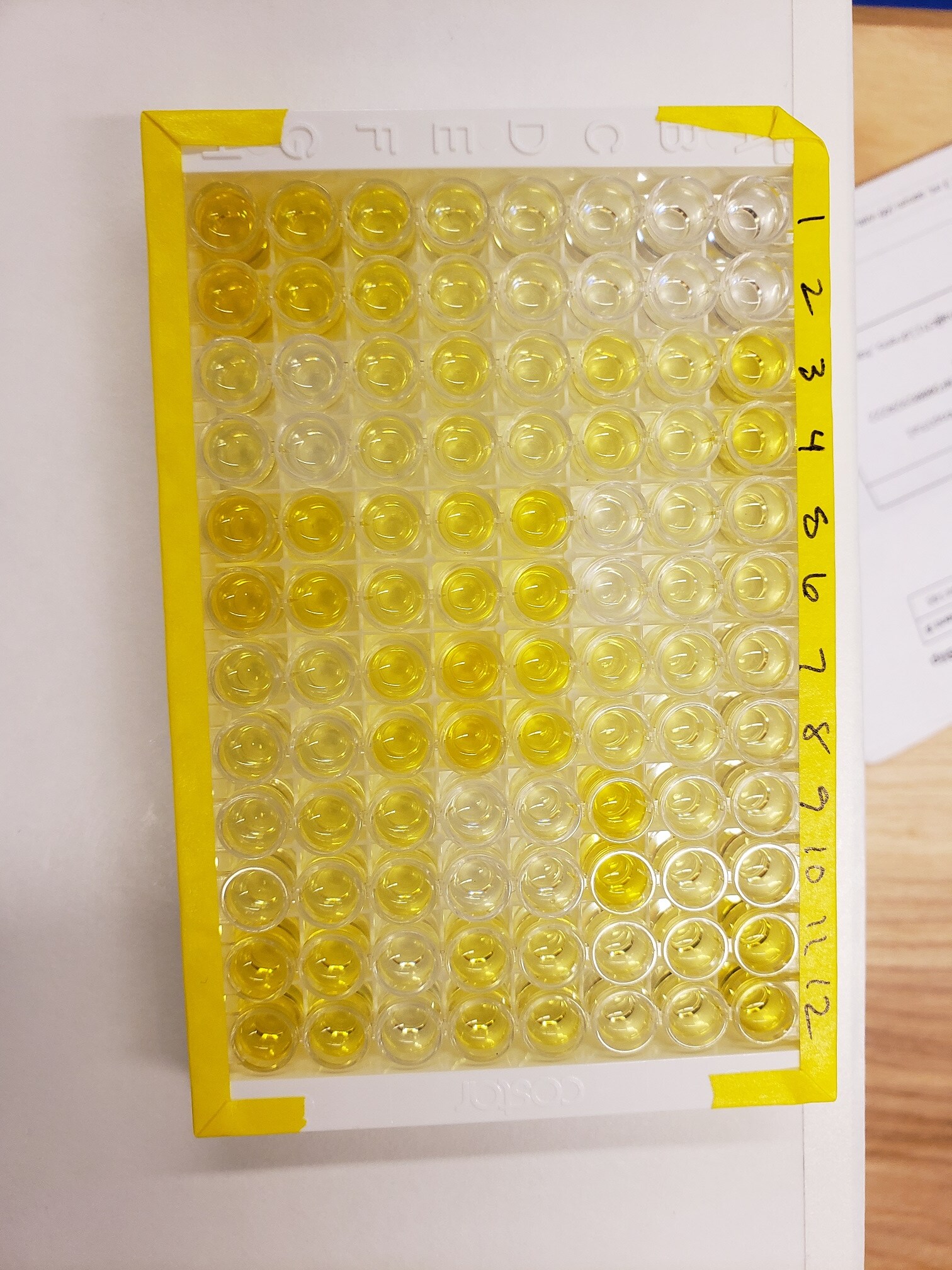 Human Serpin E1/PAI-1 Quantikine ELISA Kit DSE100